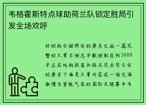 韦格霍斯特点球助荷兰队锁定胜局引发全场欢呼